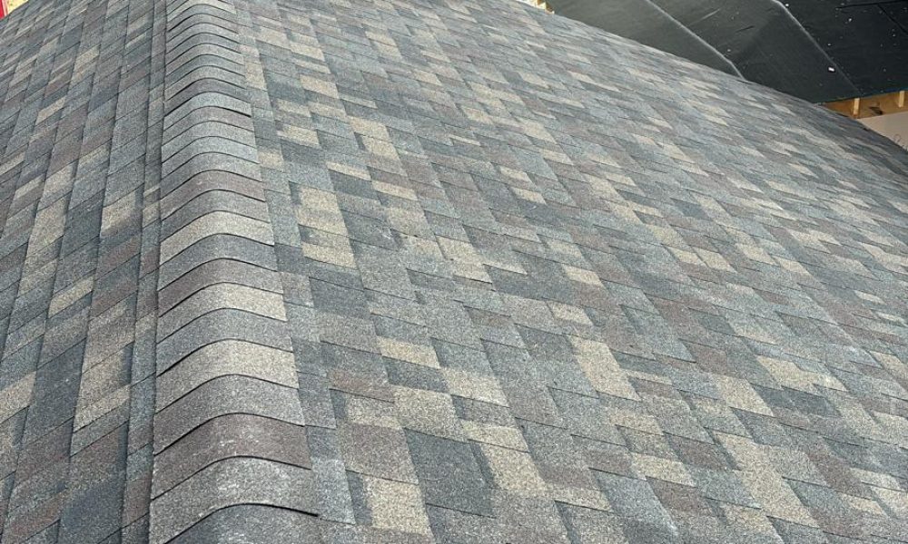 Roofing repairs and replacement (14)