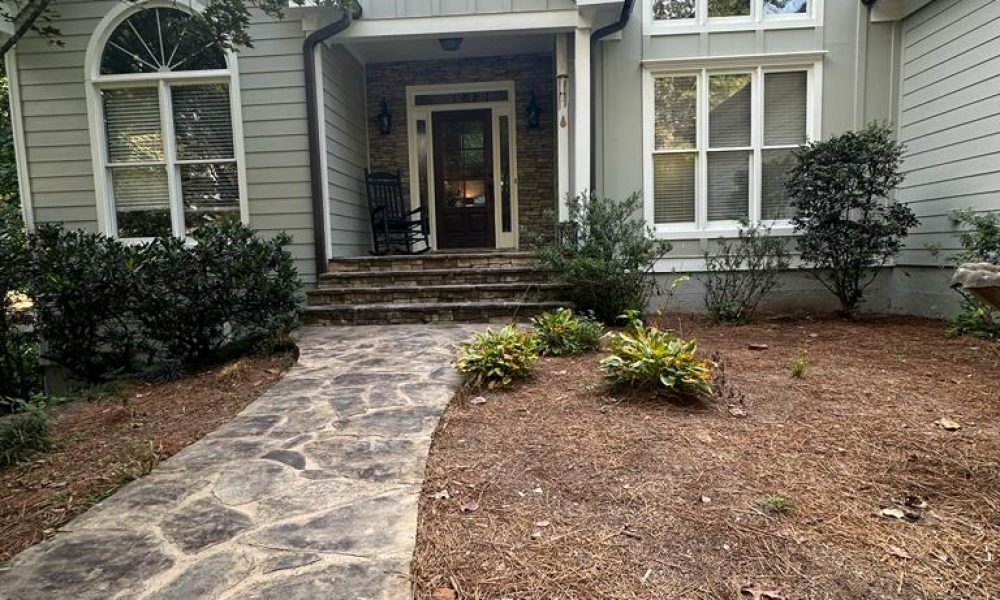 Siding and painting (14)