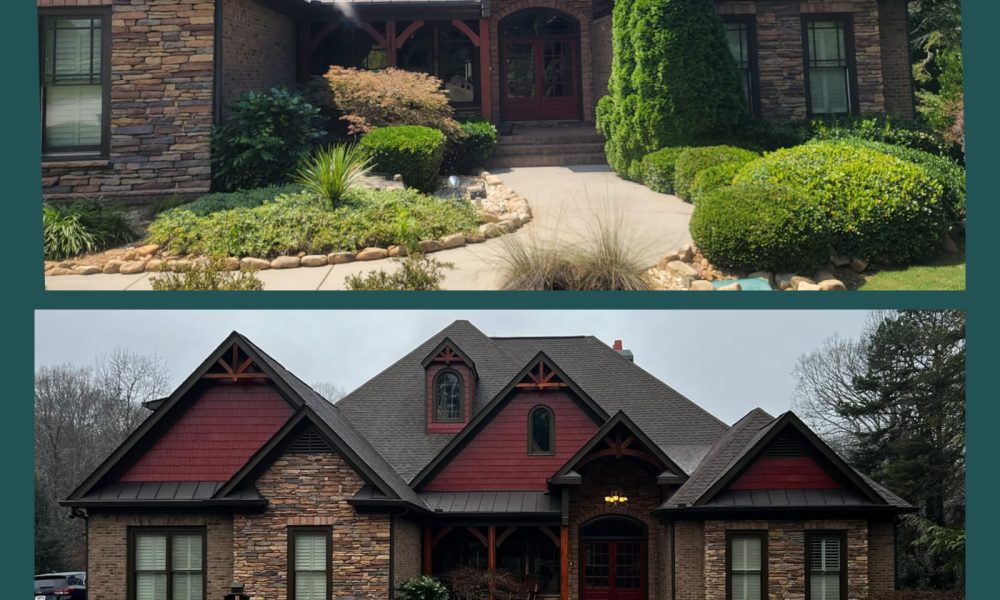 before and after (14)